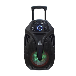 Faster FS-66 Hi-Fi Portable Wireless Speaker